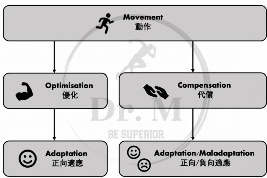 代償代償，全身都代償，到底什麼是代償？ - 傷害預防 - 健康生活 | 運動視界 Sports Vision