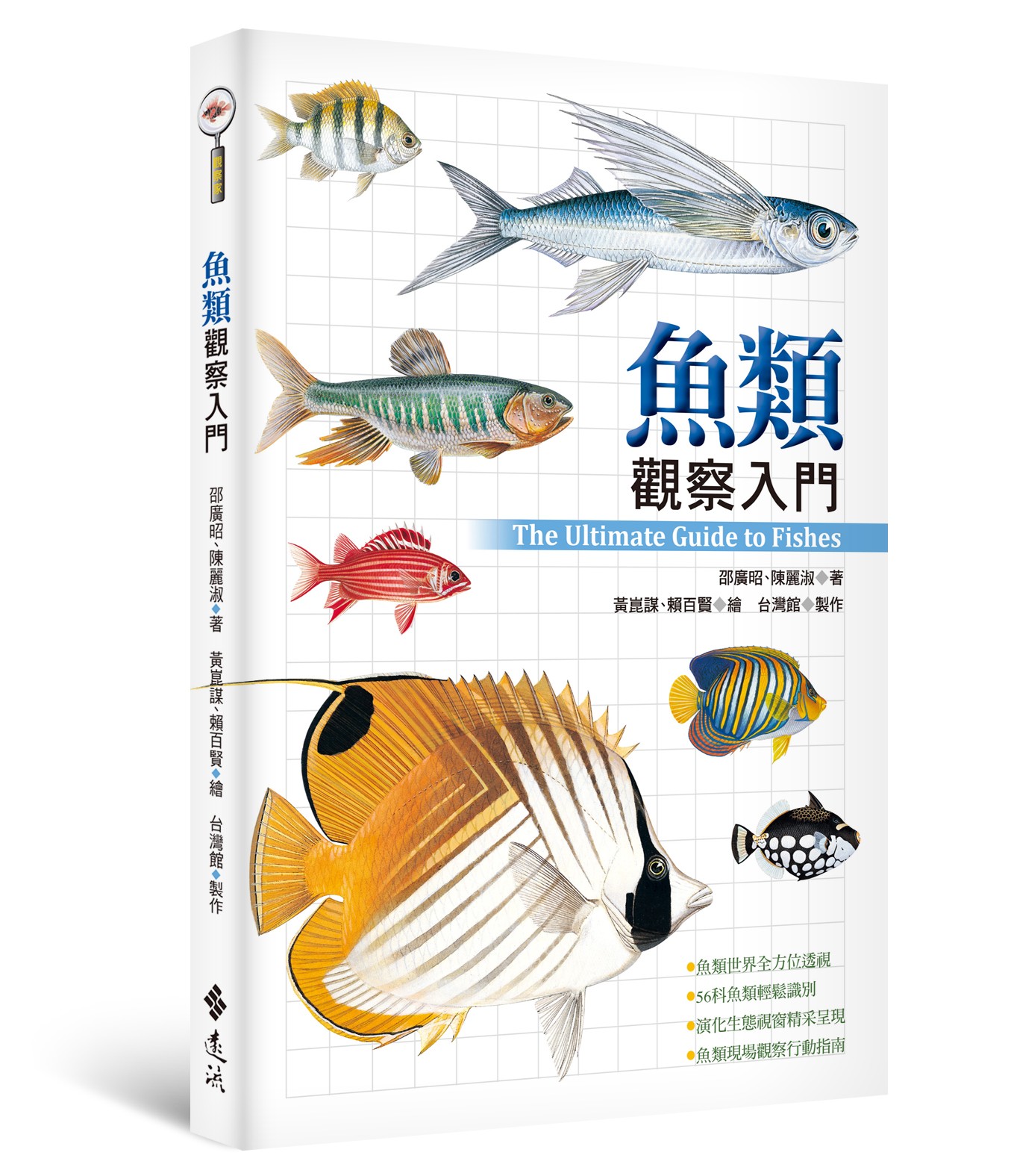 鯨魚、文昌魚、山椒魚都不是魚類，到底什麼才是魚？ - TNL The News Lens 關鍵評論網