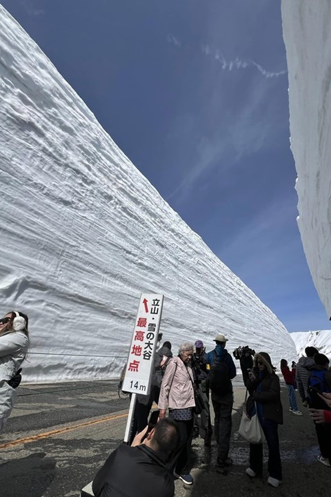 ▲今年雪之大谷最高點為14公尺。　圖：向日遊顧問有限公司