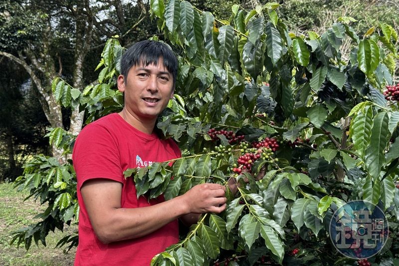 鄒族園創辦人方政倫是阿里山種植咖啡的先驅，也是將阿里山咖啡豆推向國際舞台的重要推手。