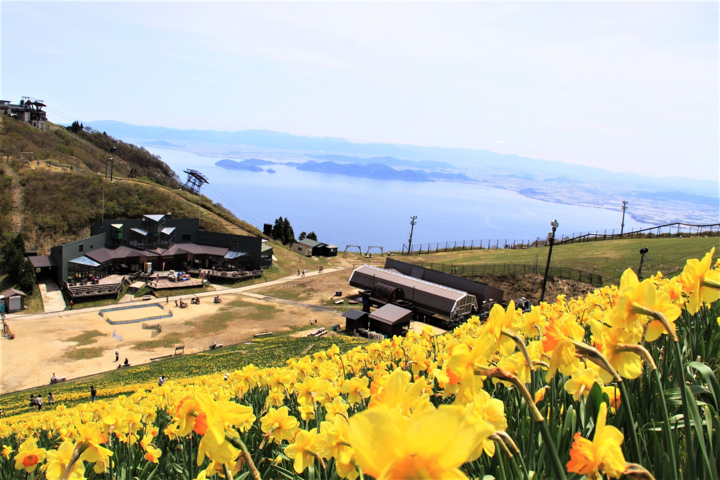 ▲從水仙之丘觀賞琵琶湖的角度，藍黃相映極美。　圖：琵琶湖 Valley／提供