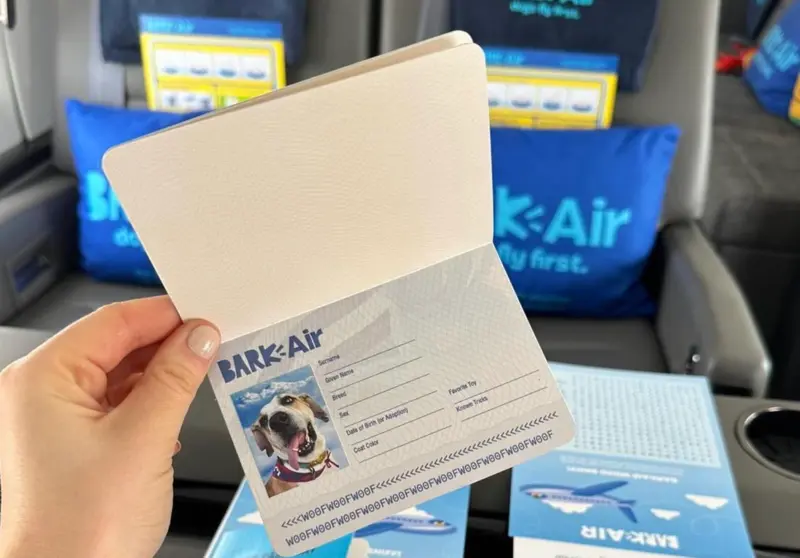 ▲BARK Air會替每隻狗狗製作精美的專屬護照。（圖／IG＠BARK Air）