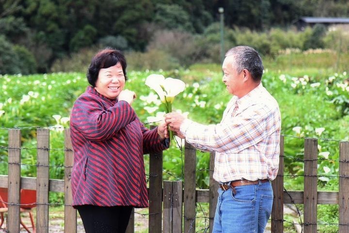 ▲曹永成和高碧蓮夫妻是竹子湖的浪漫佳偶。　圖：台北市政府產業發展局／提供