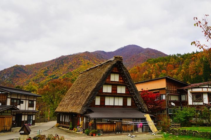 ▲白川鄉合掌村也是楓葉名所之一，因著建築的古樸氣韻，能拍出復古的「楓景」。　圖：喜鴻假期／提供