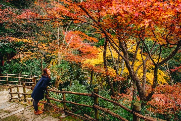 ▲嵐山渡月橋周邊的嵐山公園，是楓葉名所之一。　圖：喜鴻假期／提供