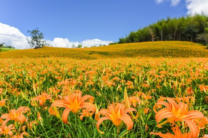 ▲花蓮縣玉里鎮赤科山。　圖：shutterstock／來源