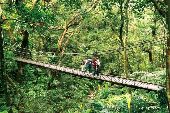 ▲三峽擁有亞熱帶雨林植物寶窟及森林遊樂區等旅遊資源。　圖：新北市政府觀光旅遊局／提供