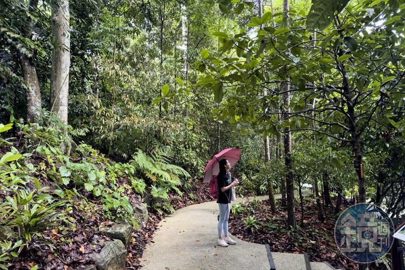 參加Xiu Nature Connections舉辦的森林浴，會發現原來平靜片刻在這座城市裡唾手可得。