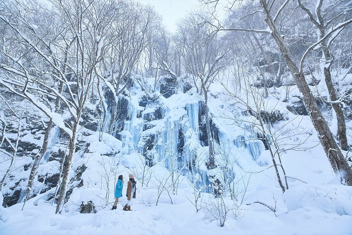 奧入瀨溪流的瀑布都變成冰柱，是屬於北國特有的風景。　圖：青森縣／提供