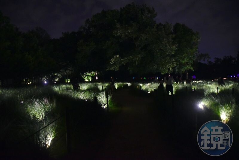 佔地24公頃的植物園，夜間變身光影樂園。