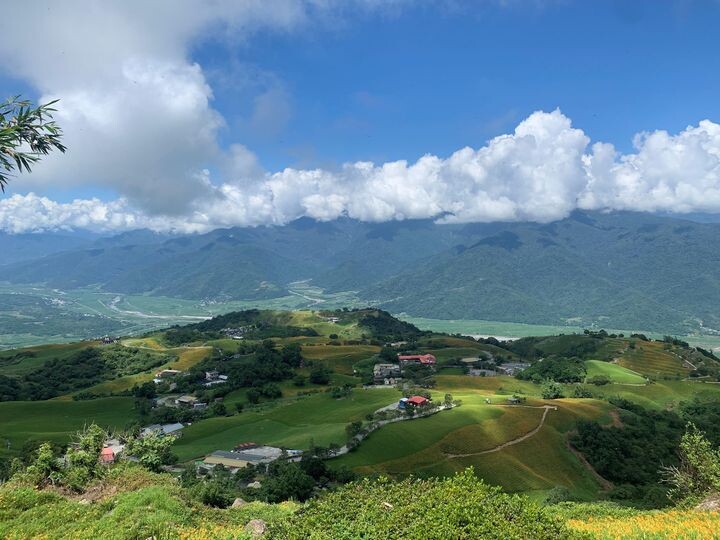 ▲金針花季富里鄉農會以「忘憂大地感謝祭」為主題，結合在地「茶與竹子」體驗活動打造全新的觀光體驗。　圖：花蓮縣政府／提供