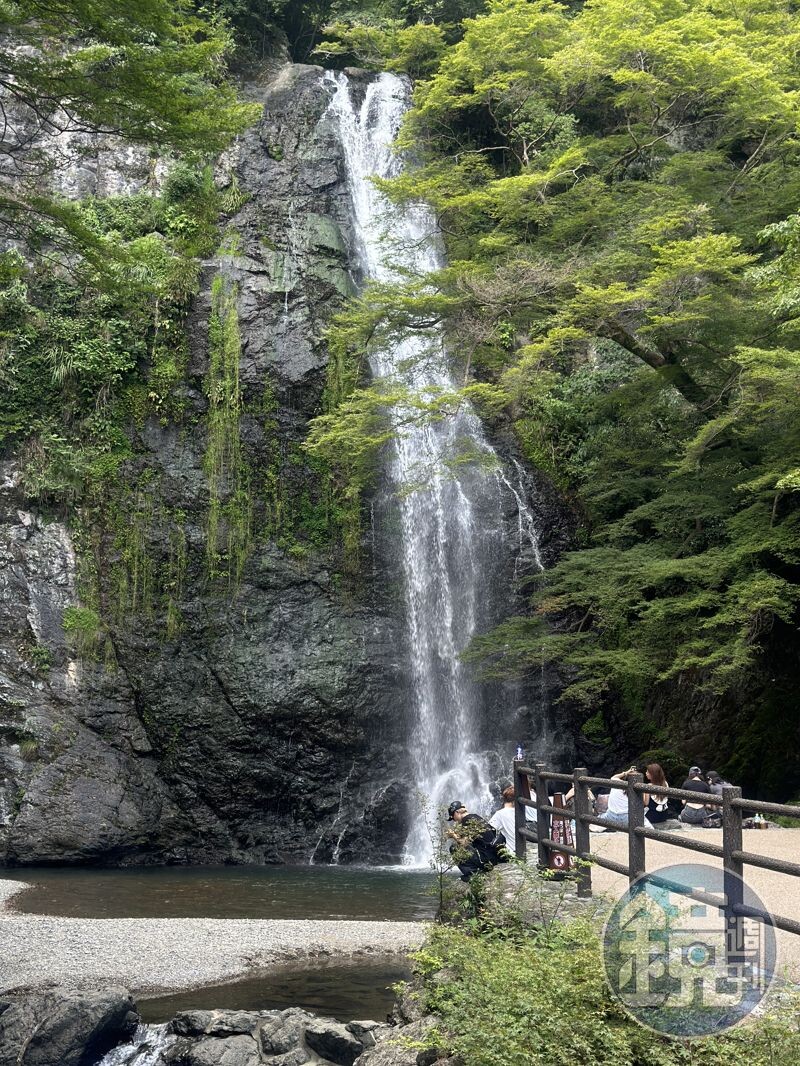 「箕面大瀑布」潺潺水聲與沁涼水花撫平了夏日的煩躁。