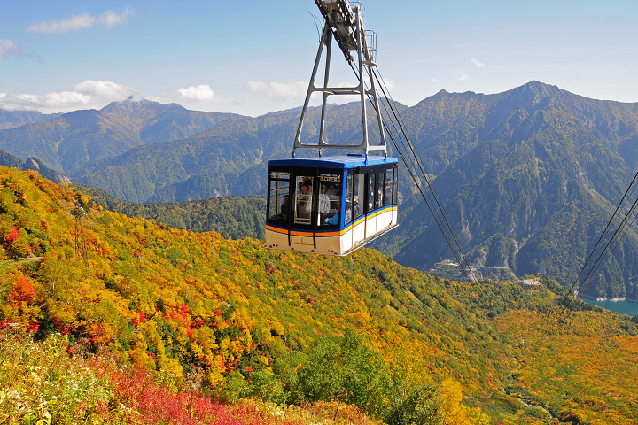 從大觀峰、黑部平的展望台，可遠眺到與纜車不同角度的紅葉絕景。