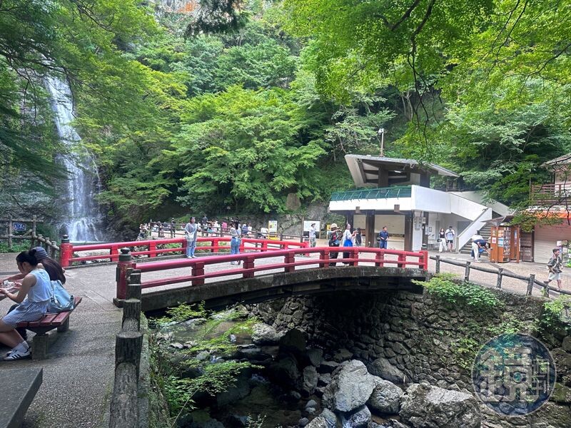 箕面公園為森林浴之森百選之一，很適合趁著暑假造訪。