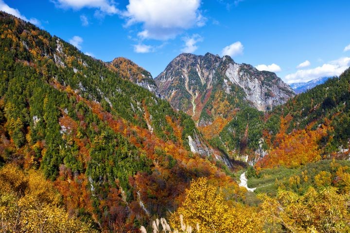 ▲立山黑部賞楓是造訪北陸的旅客所喜愛的景點之一。　圖：東南旅遊／提供