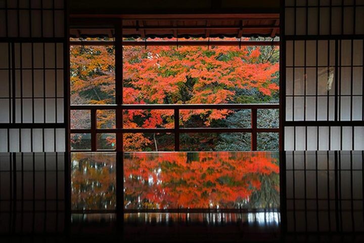 ▲「滋賀大津一日遊」，可前往京都知名賞楓景點 MIHO 美術館、舊竹林院。　圖：KKday／提供