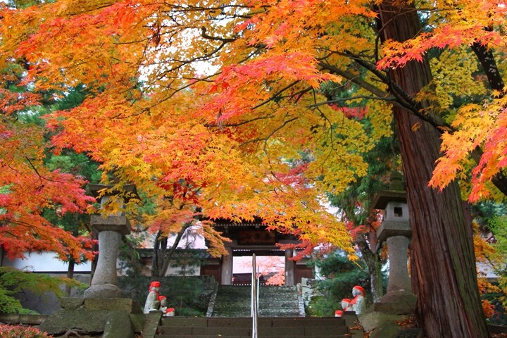 ▲龍洞院楓景。　圖：信州千曲觀光局／提供院