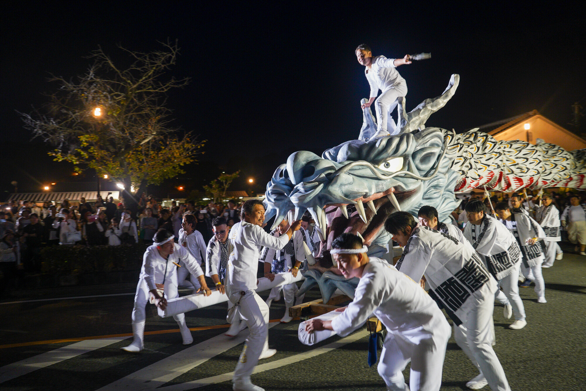 ▲菊池地區的年度活動白龍祭。 圖：菊池市/提供