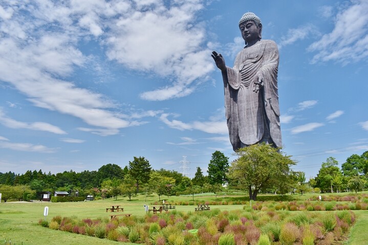 ▲牛久大佛腳下的淨土庭園廣達1萬平方公尺，四季花卉更迭十分美麗。　圖：向日遊／提供