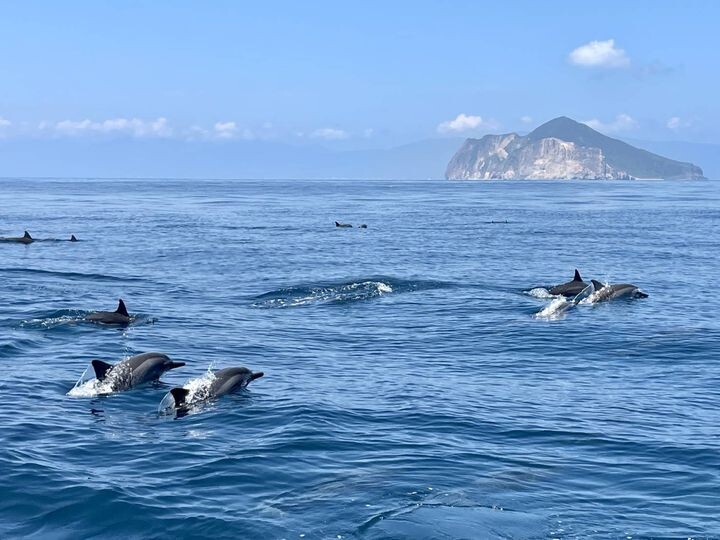 ▲龜山島賞鯨豚。　圖：東北角及宜蘭海岸國家風景區／提供