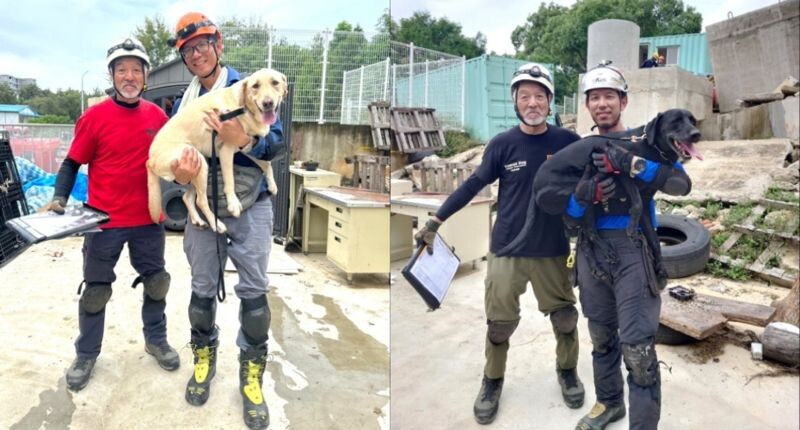 要通過「IRO國際認證」是一件不容易的事。（桃園市消防局提供）