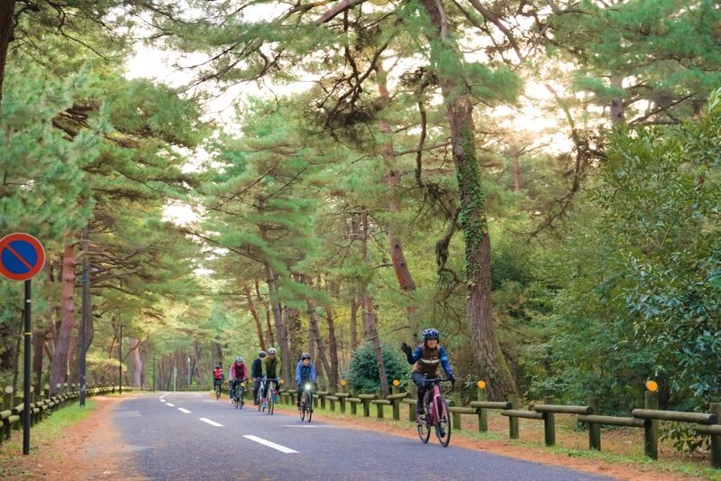 路途經過樹林綠蔭，秋季時節，舒適宜人。（福井縣政府提供）