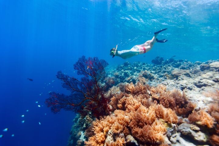 ▲搭華航直飛帛琉，體驗繽紛海島假期。　圖：shutterstock／來源