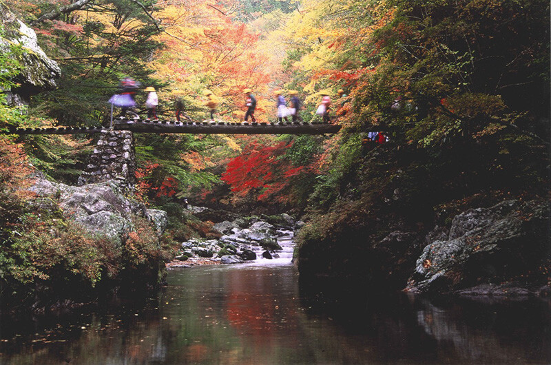 ▲小田深山溪谷紅葉季賞楓。　圖：愛媛縣／提供