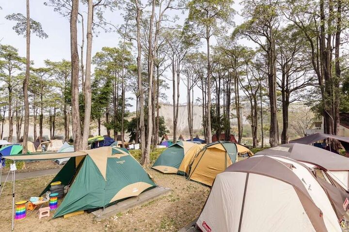 ▲走馬瀨農場露營區。　圖：台南市政府觀光旅遊局／提供