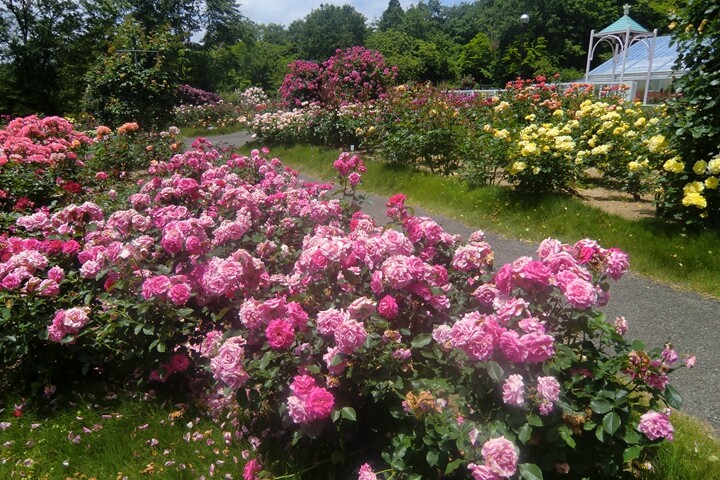 ▲四季皆美的冰見 AIYAMA 花園。