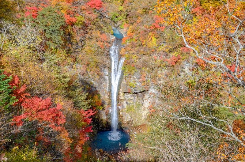 那須高原的駒止瀑布以紅黃相間的楓紅，以及湛藍水潭與滂薄瀑布吸引遊客造訪。