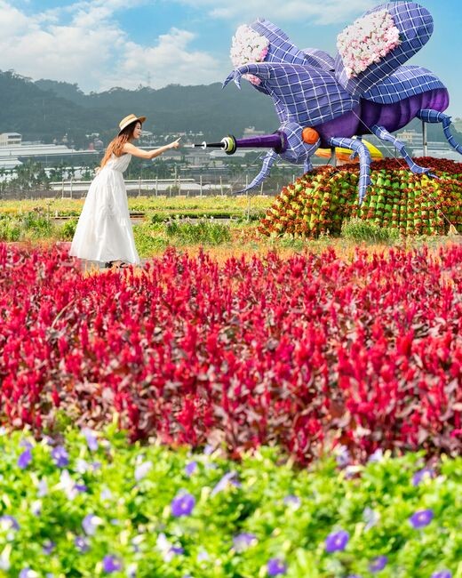 ▲錯位觸碰獨角仙觸角美照。　圖：台中市政府觀光旅遊局／提供