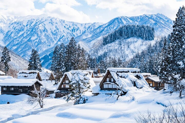 ▲世界文化遺產五箇山合掌村。