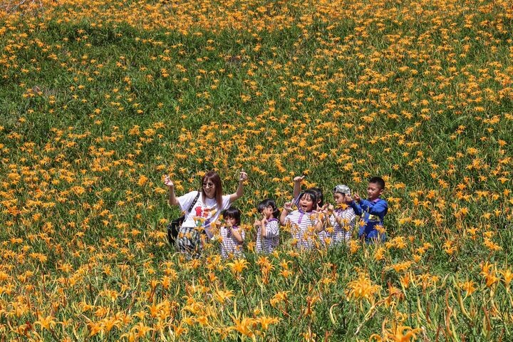 ▲青山農場。　圖：農業部農村發展及水土保持署／提供