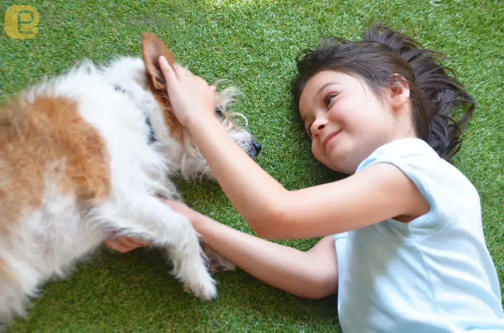 飼主與愛犬之間的情感連結竟能透過心跳變化率（HRV）展現同步現象