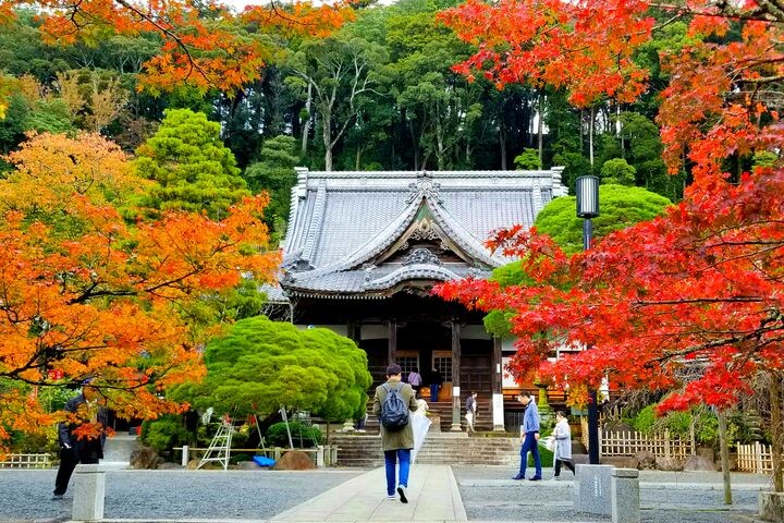 ▲青野川沿岸是觀賞南之櫻的主要地點。　圖：日本富士之國靜岡縣駐台辦事處／提供