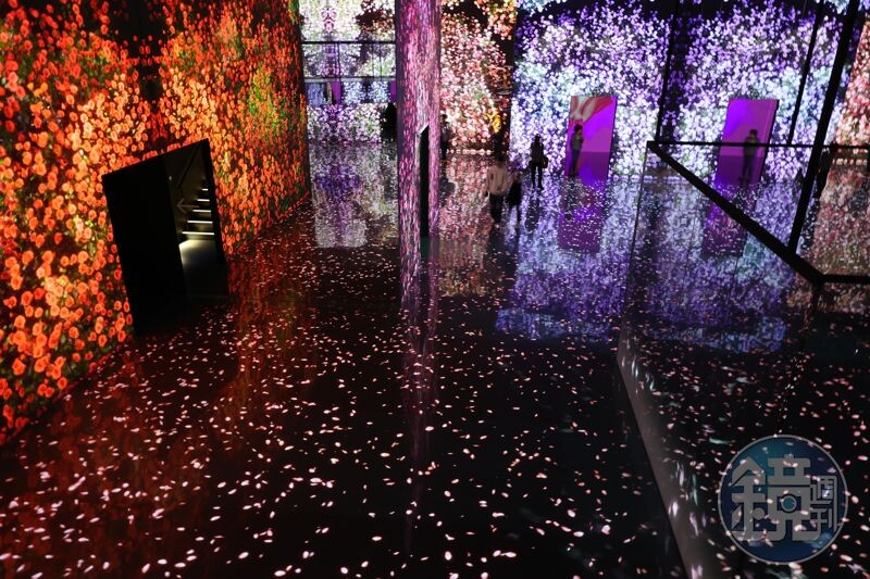 「FLOWER（花）」展區運用鏡面及場域高低設計，給人如夢似幻的視覺感。