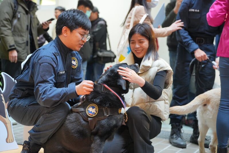 領犬員帶領退休警犬卸下任務，交由領養家庭照顧，場面溫馨。（翻攝畫面）