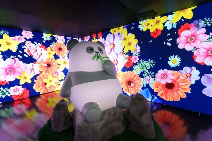 ▲大小朋友到海洋公園即可躍進「玩轉冬日園」大熊貓盛典及沉浸於「大熊貓『竹』夢之旅」。　圖：香港海洋公園／提供
