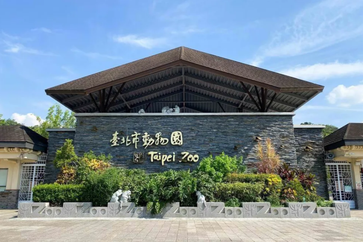 台北市立動物園一隻樹懶從天而降正好砸在男遊客頭頂