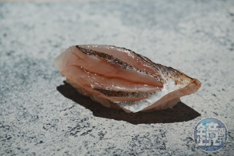 被稱為「亮皮魚」的日本鯖魚,在冬季為最為肥美,主廚藉由多層次的畫刀,使鯖魚在氧化過程中,甜度達到最高。