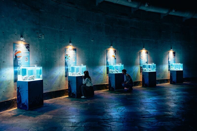 屏東海生館「我的鰻朋友」設置各種展區，讓民眾近距離觀察鰻類生物。（屏東海生館提供）