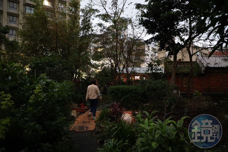 通往「好客咖啡館」的小徑被樹叢、果園遮掩，令我一度不確定是否真有咖啡館藏在此處。