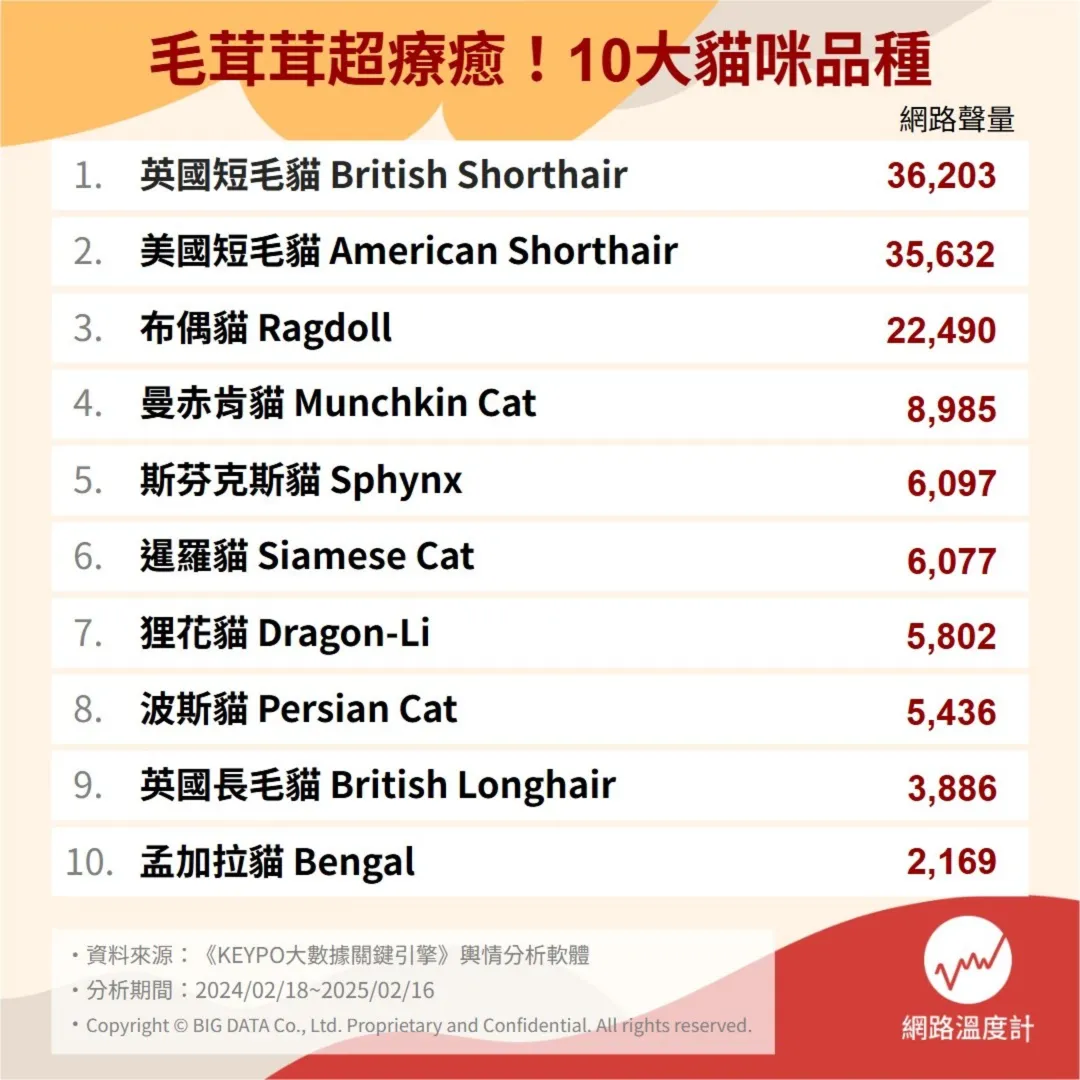 家貓日記】床畔，陪讀時光。 由於miki  實在太皮太鬧，所以，和前貓小米不同是，為讓人與貓都能安歇，我們並不一起睡覺。但不知從什麼時候起，睡前的床上閱讀時光，牠會跳上來陪伴。  小時候還超黏超撒嬌時，常是直直踢開書撞入懷裡，然後在摟抱摩挲中，咕嚕嚕舒服膩上好久 ..., image size:1080x1080