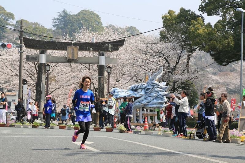 全日本最浪漫馬拉松「菊池櫻花馬拉松」,跑者能在一片粉紅花雪中起跑。(睿玟管理顧問有限公司提供)