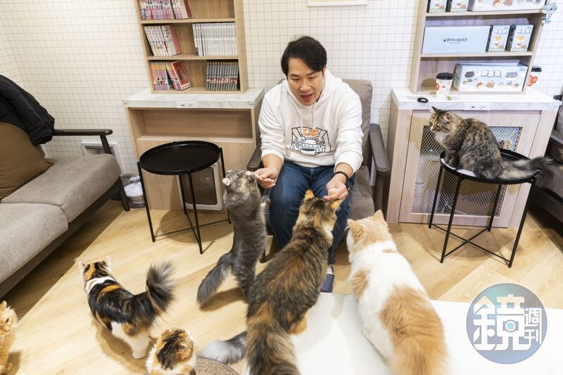 「Cat Café MOCHA」店裡有17隻貓，本來是狗派的劉爾金，現在家裡也養貓，正式成了鏟屎官。