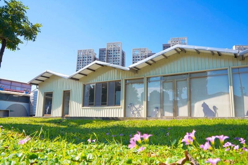 新北市動保處將打造首座貓咪室內遊憩室,造福廣大飼主。(新北市政府提供)