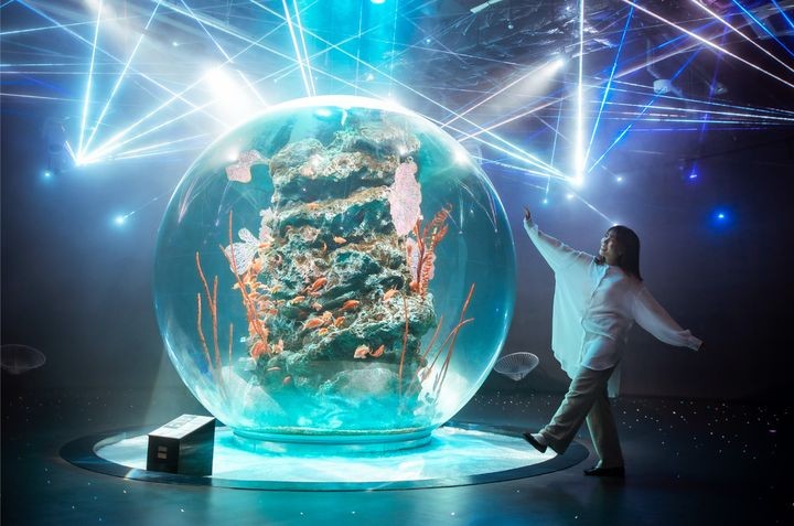 ▲神戶 atōa 藝術水族館是打卡熱門景點。　圖：太平洋旅行社／提供