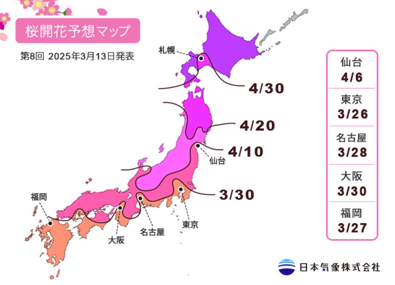 日本氣象株式會社公開第8回2025年櫻花開花盛開預測日期。（圖片：日本氣象株式會社）