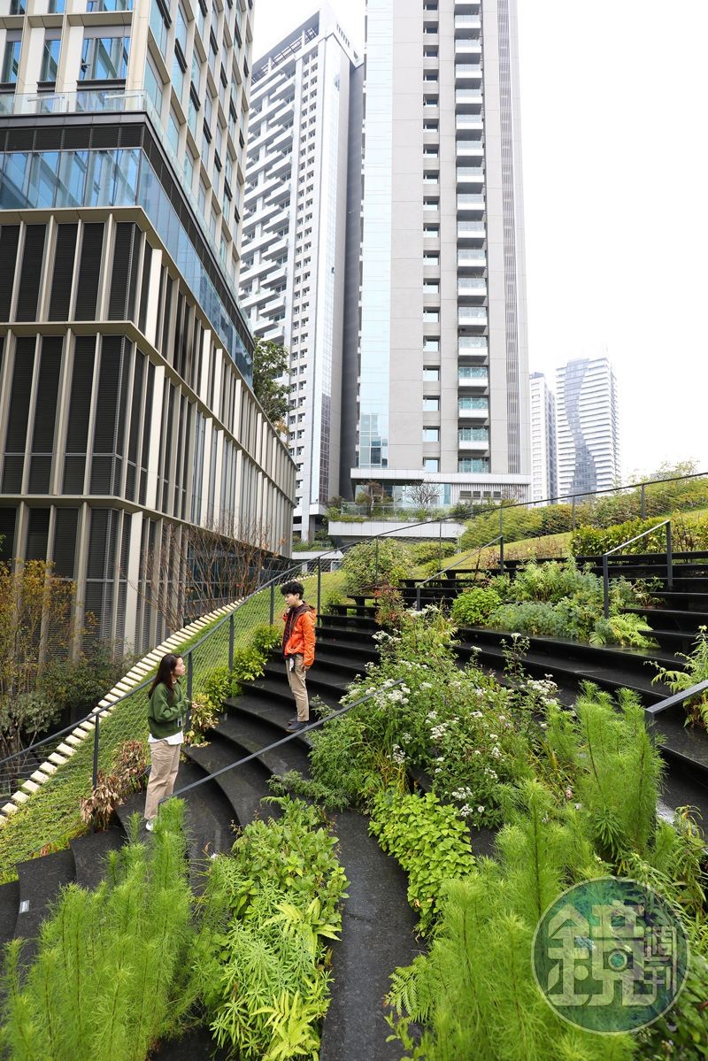 「勤美術館」的曲面屋頂上,種植著各種不同的綠色植物,不只是一座空中花園,也供旅人駐足休憩。